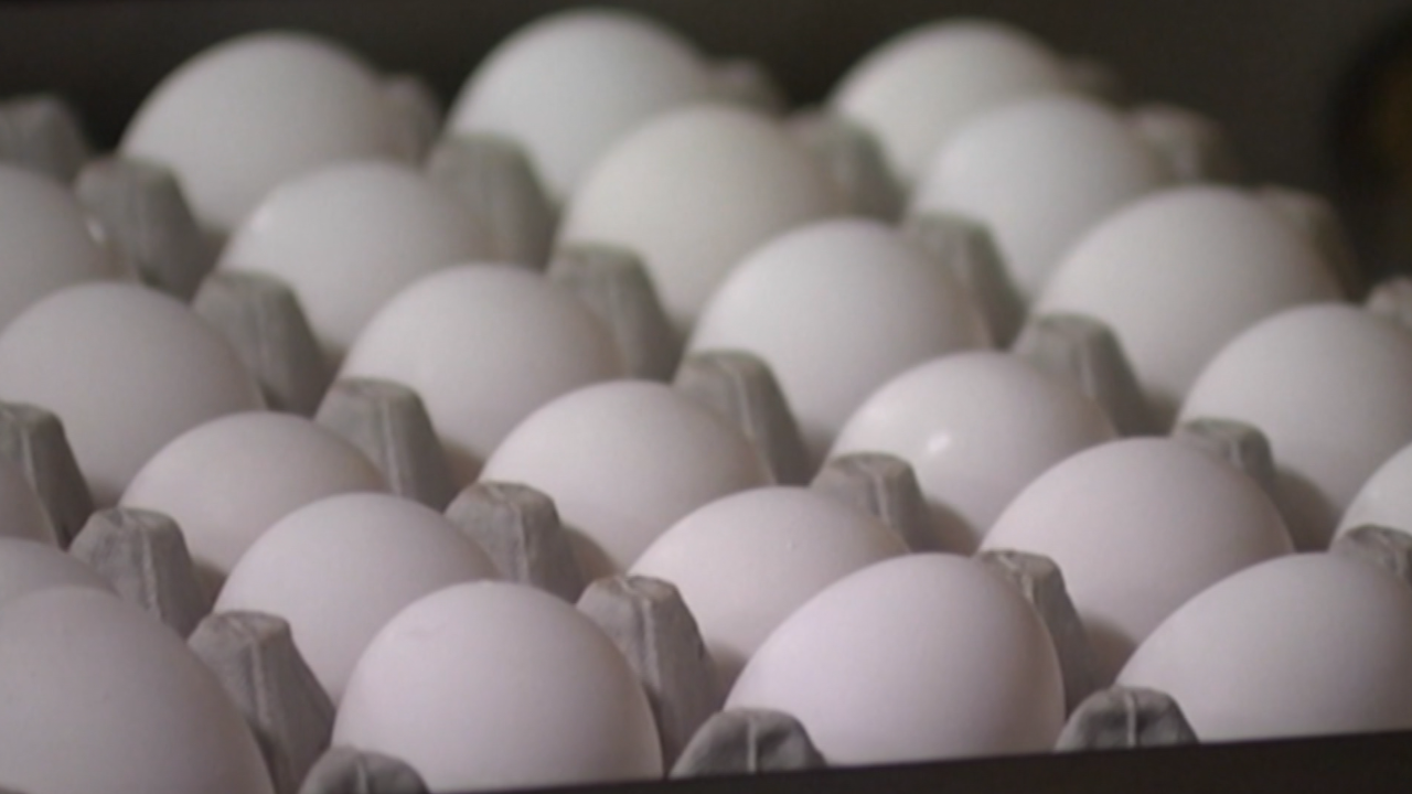 New York Attorney General Secures Settlement with Egg Producers