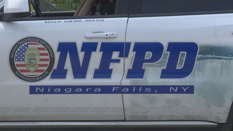 Niagara County Man Sentenced to 22 Years for Manslaughter in Buffalo Area