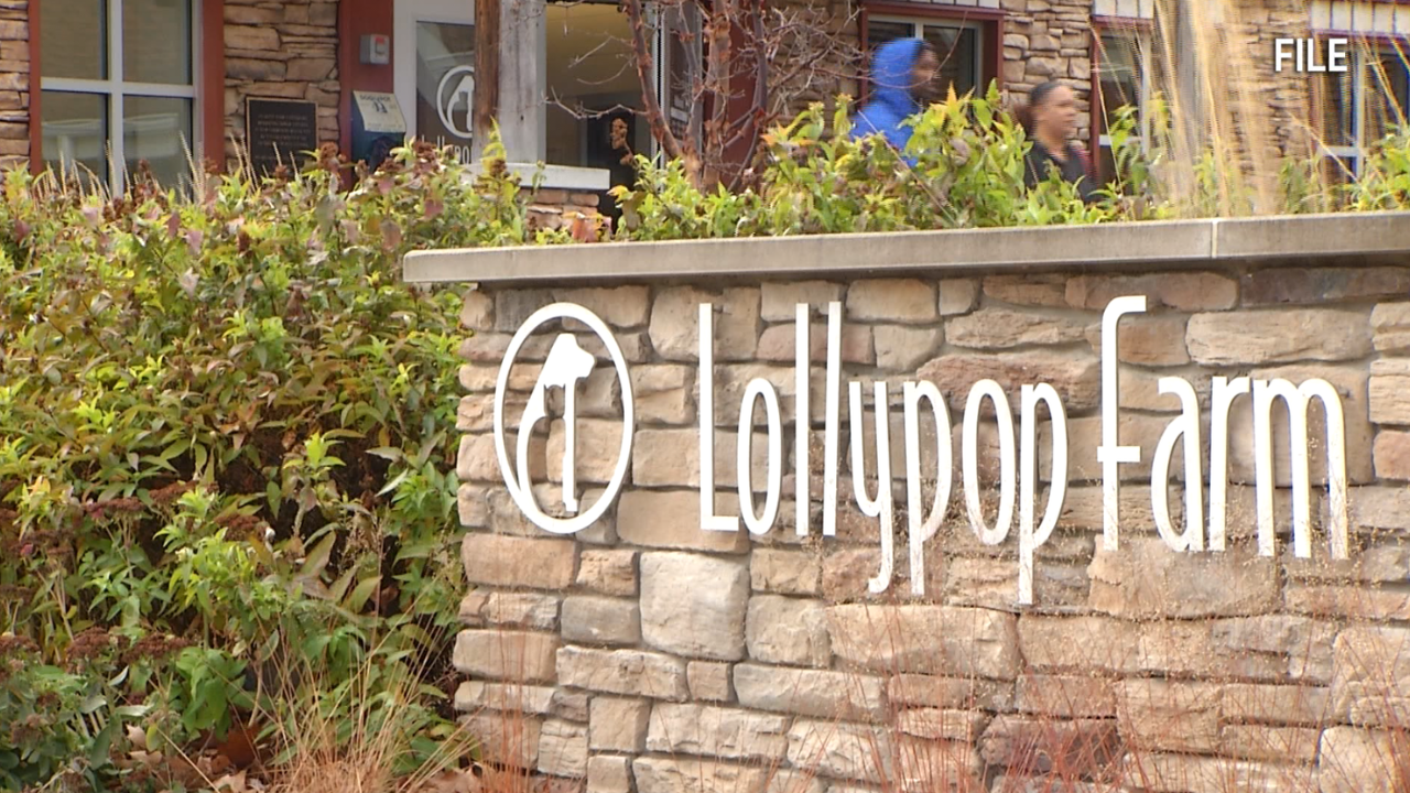 Lollypop Farm Offers Free Tools to Prevent Pet Loss