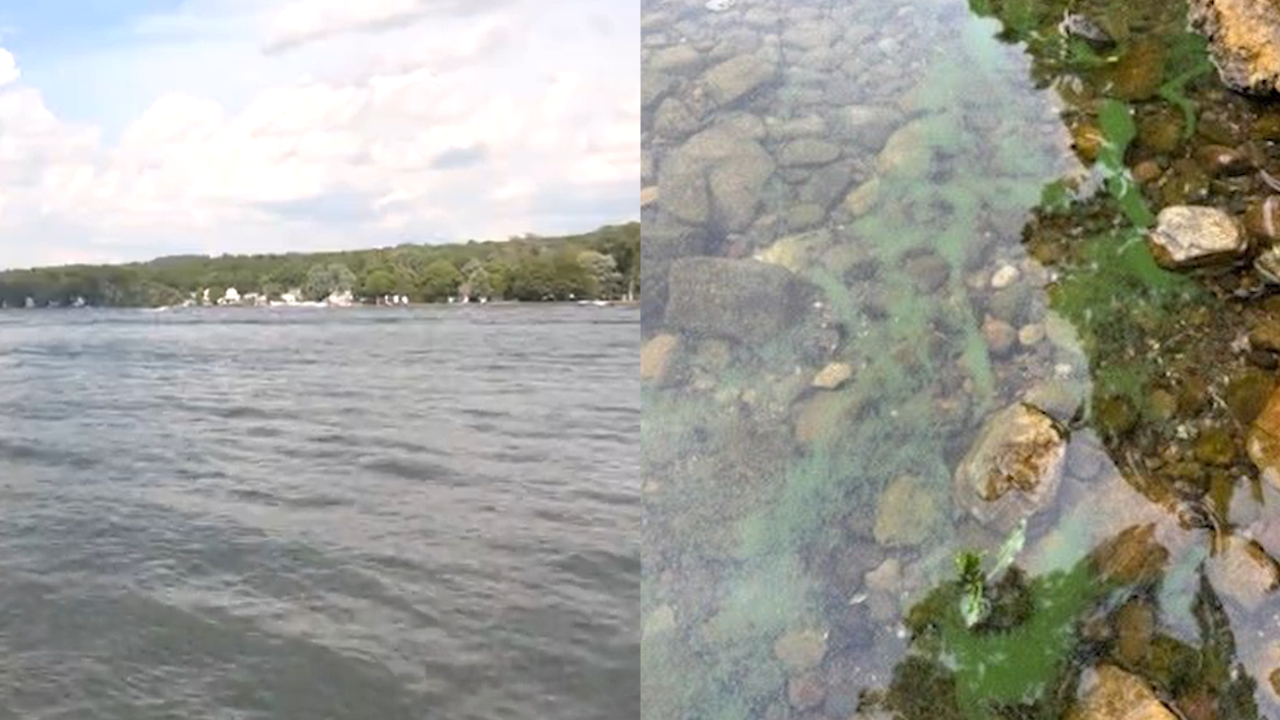 Conesus Lake Algae Blooms Pose Risk to July 4th Celebrations