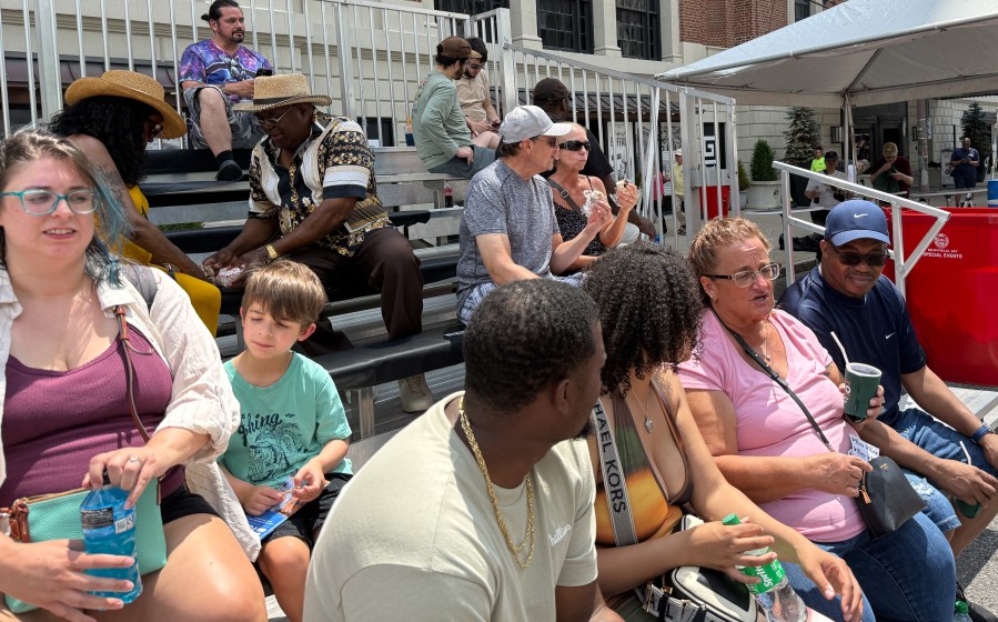 New Bleachers Unveiled at Taste of Buffalo