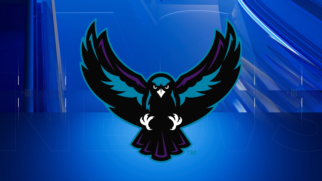 Rochester Knighthawks Bring Back Teal and Purple Color Scheme