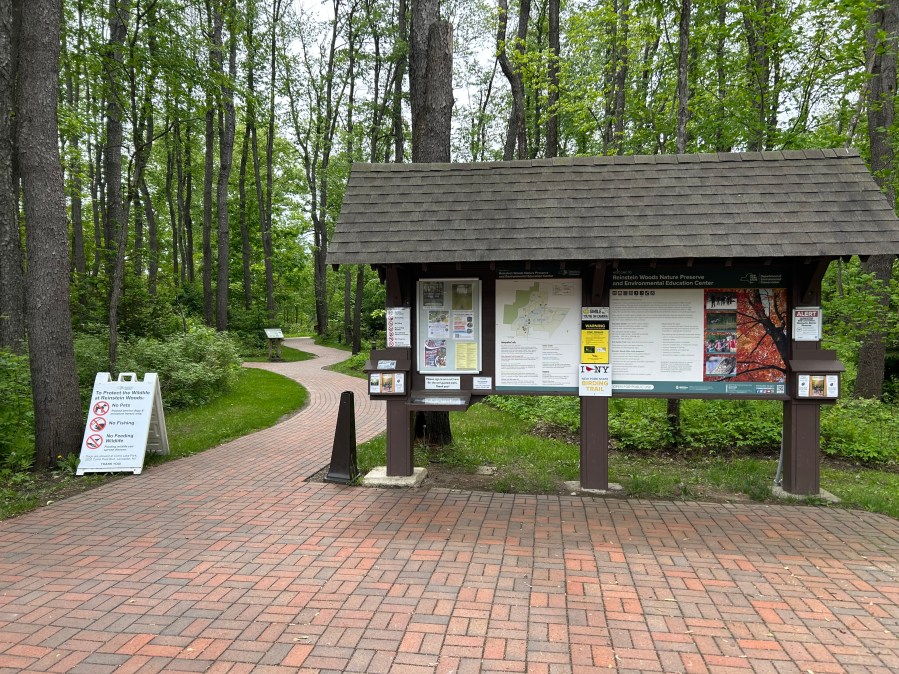 Free Bus Ride to Reinstein Woods Nature Preserve