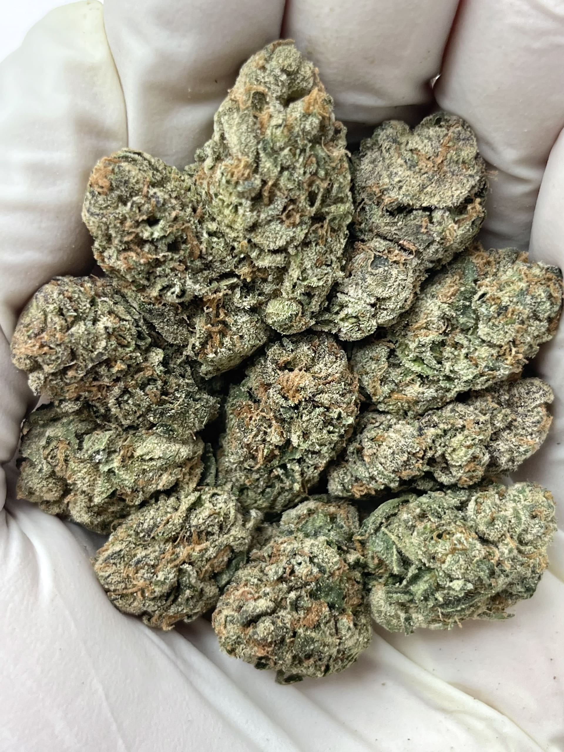H3S9-VIA CHERRY DRIZZLE BIG