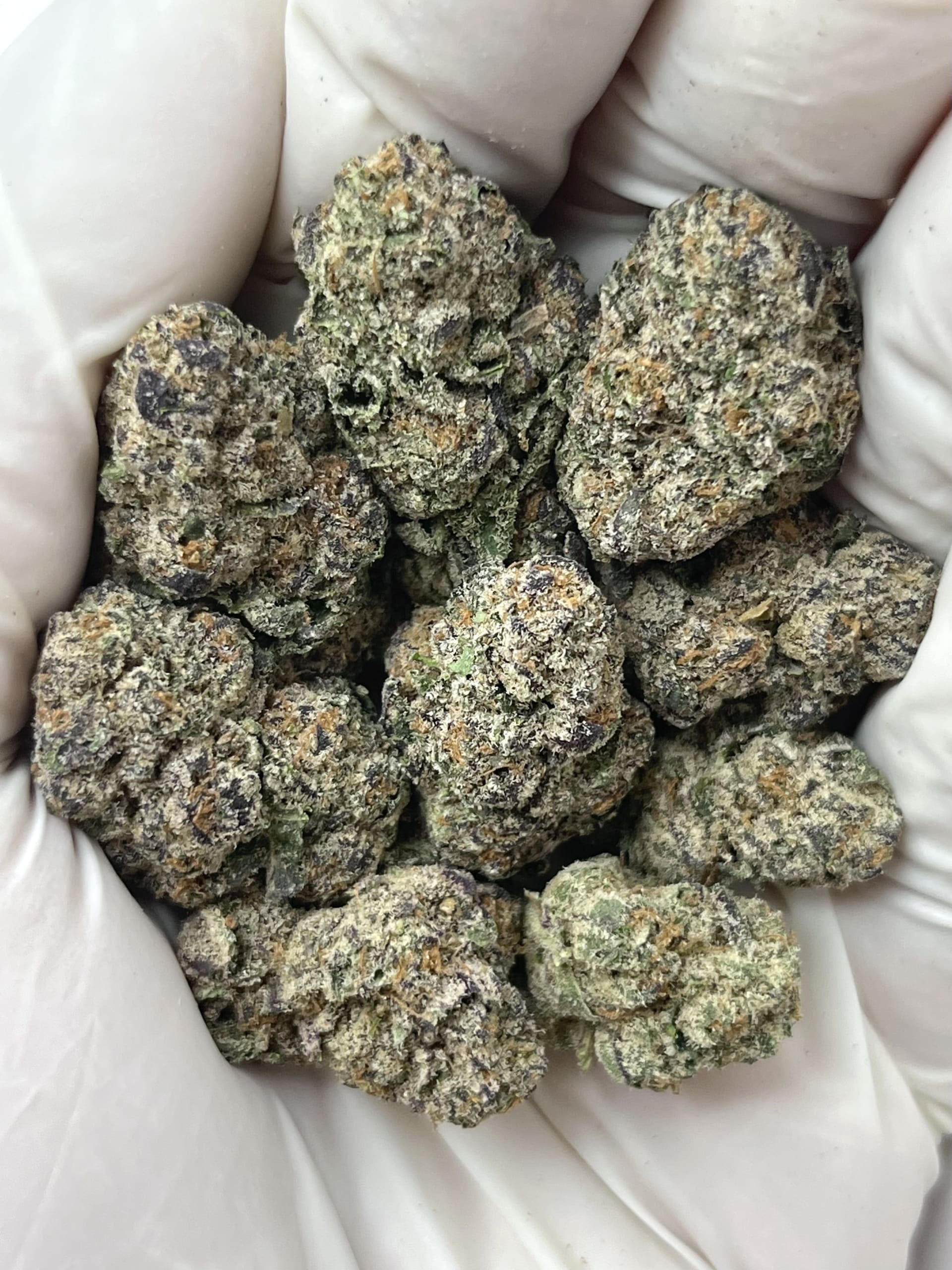 H3S9-VIA FROSTED POPS BIG