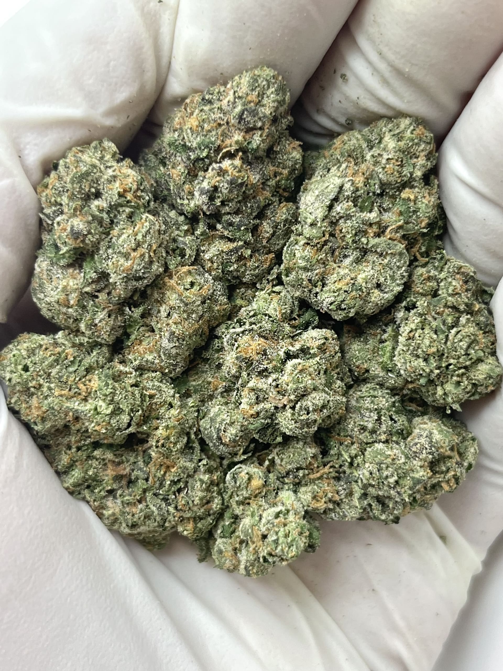 GREASE MONKEY