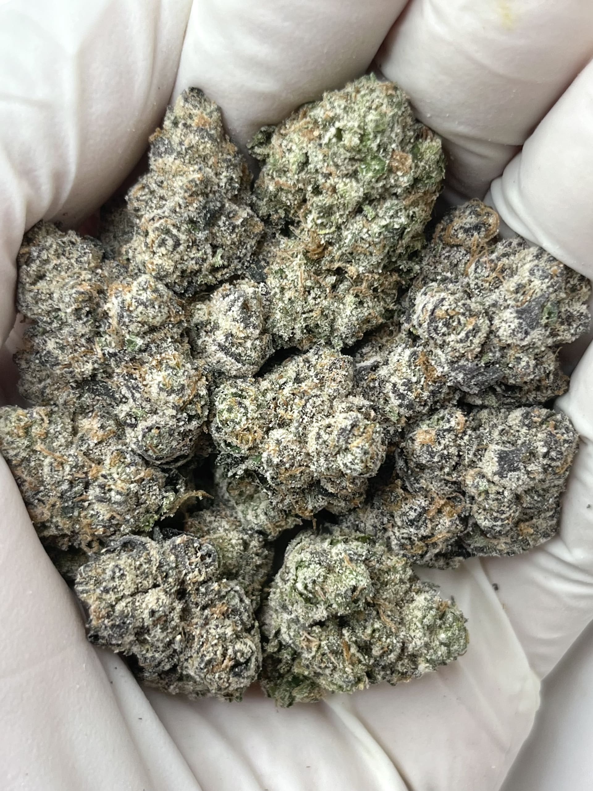 SLURRICANE