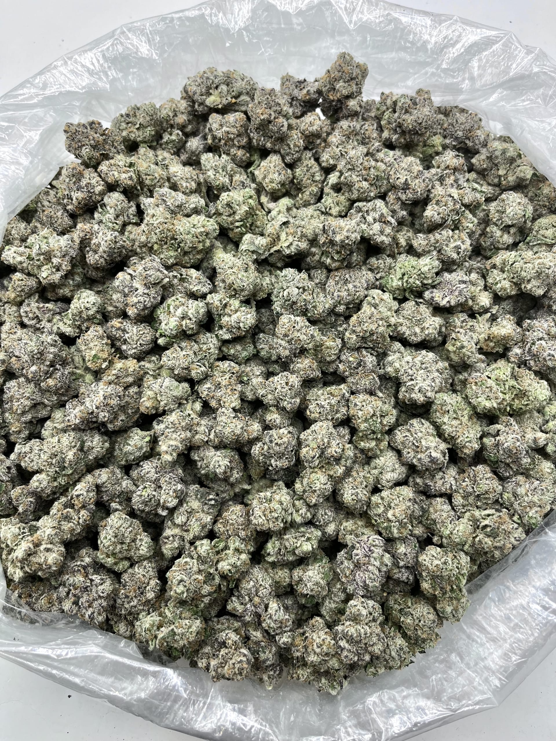 SLURRICANE thumbnail 2