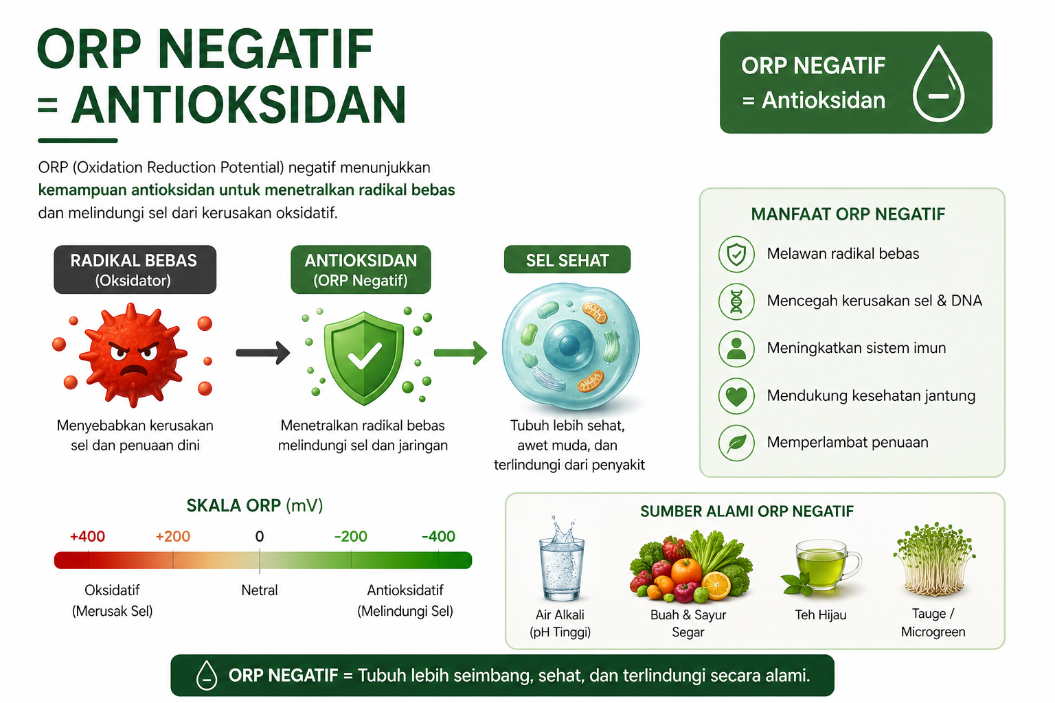 ORP Negatif: Mengapa Air Kangen Seperti Antioksidan?