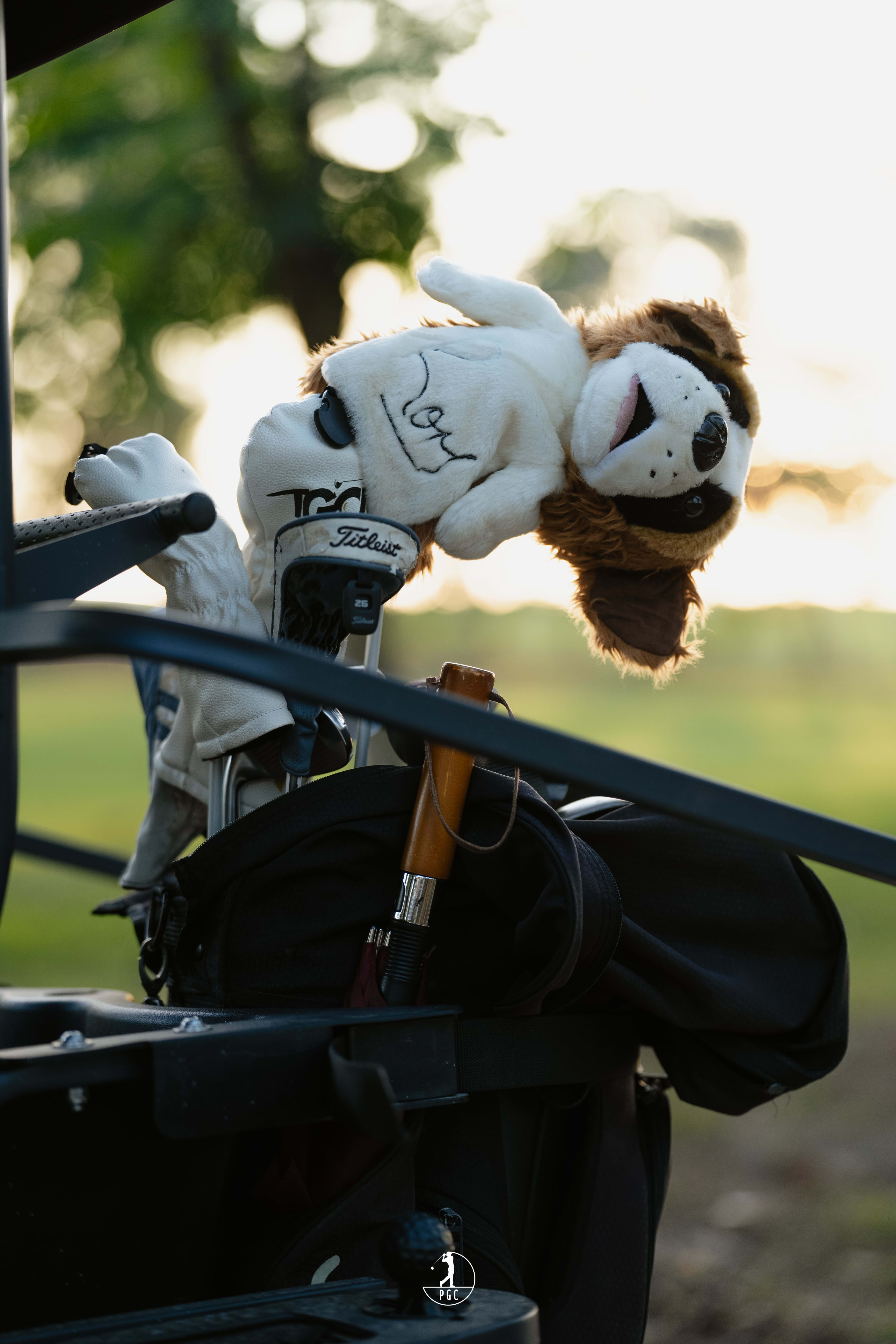 Pilikula Open 2026 (10th January)