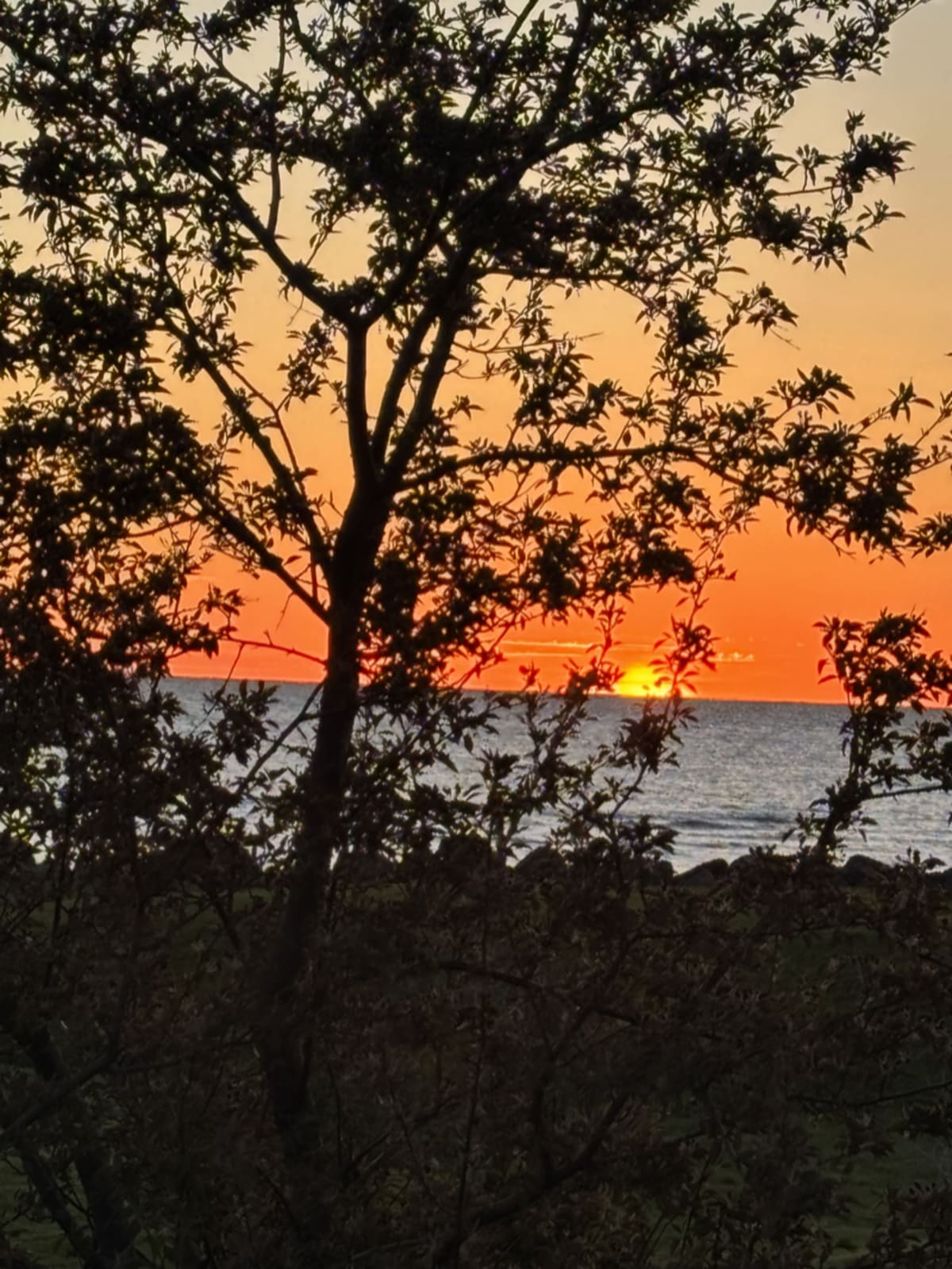 A reflection on celebrating mothers - those who are with us and those who have passed, and the gratitude for family connections despite the distance travel can bring.