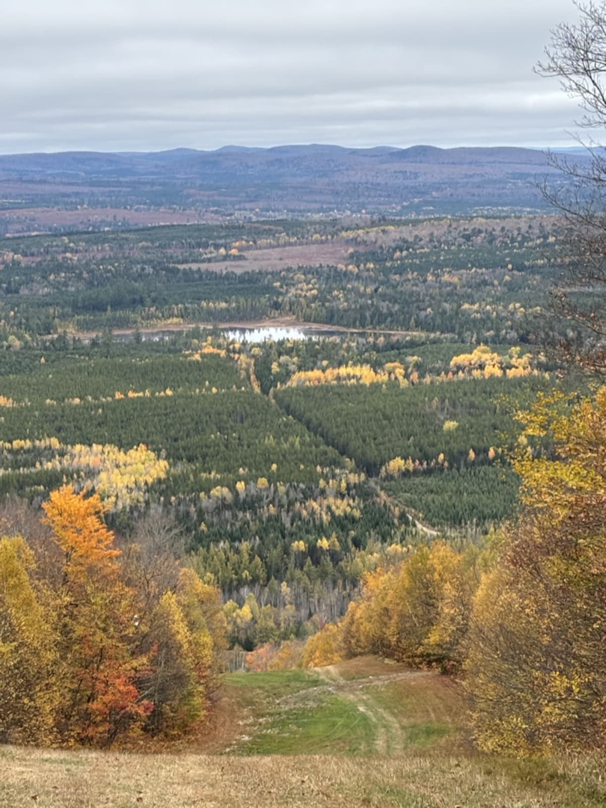 Scenic view from Crabbe Mountain after rain