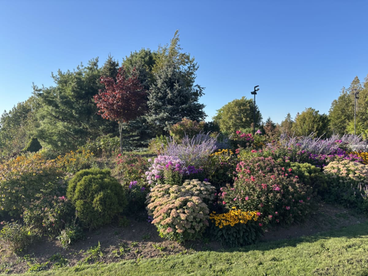 Private garden in New Brunswick