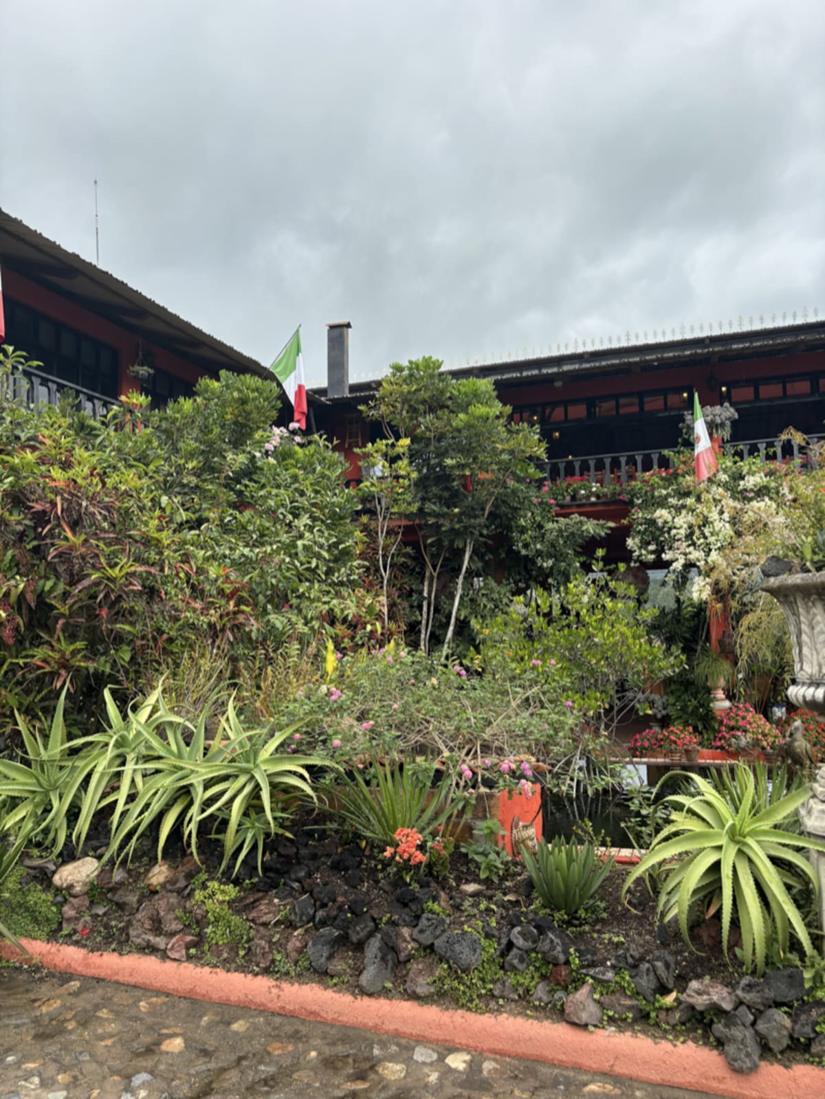 Beautiful botanical gardens in Puerto Vallarta