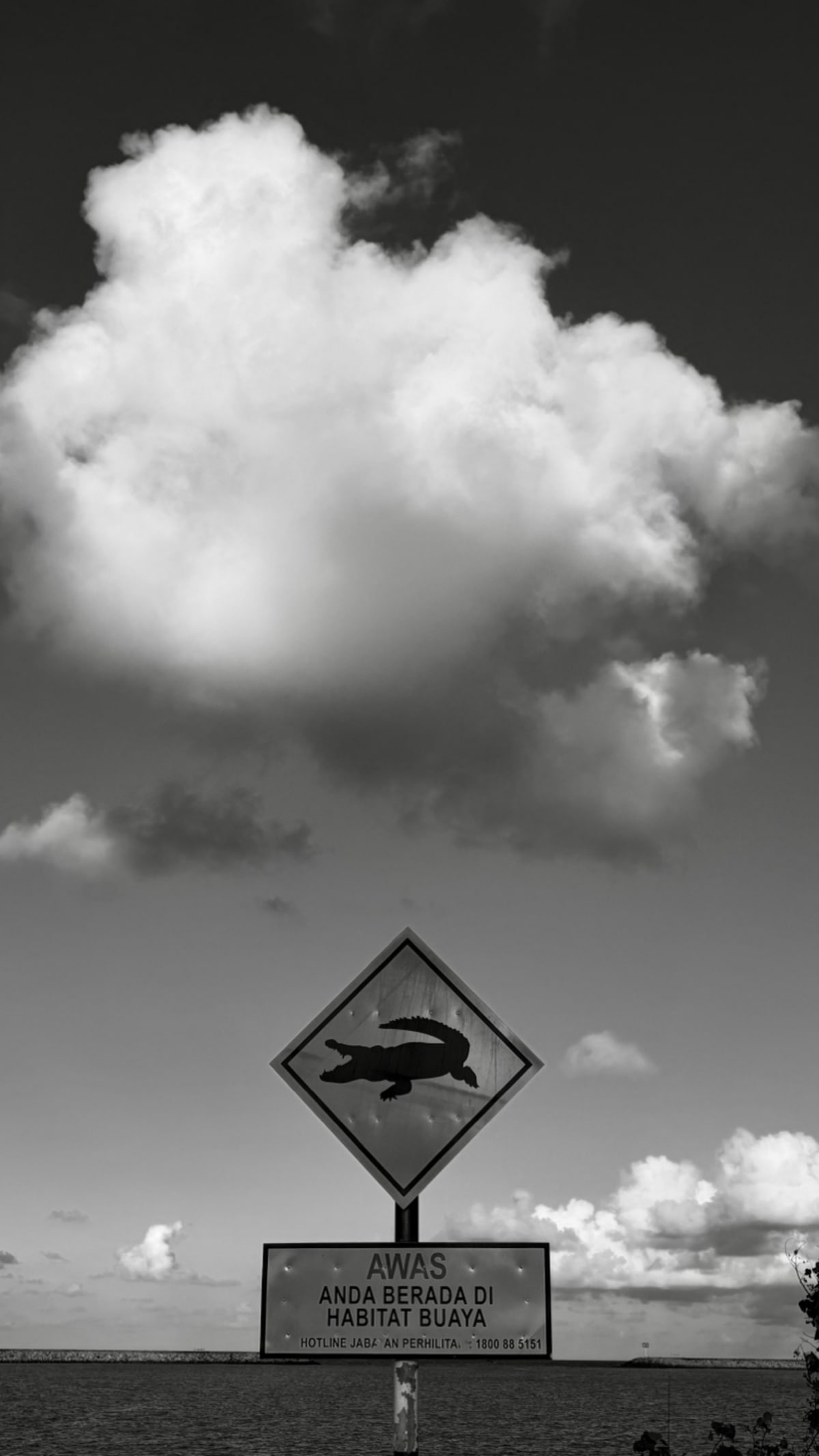 Crocodile warning sign