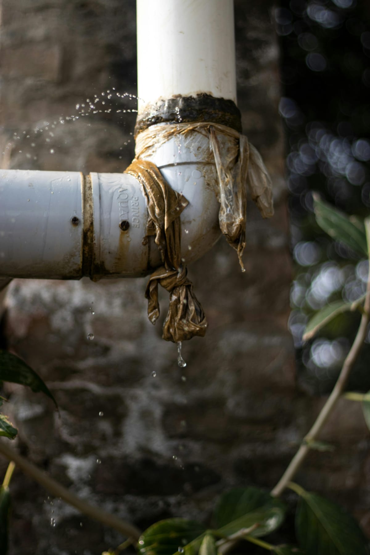 Water leaking from burst pipe under cottage