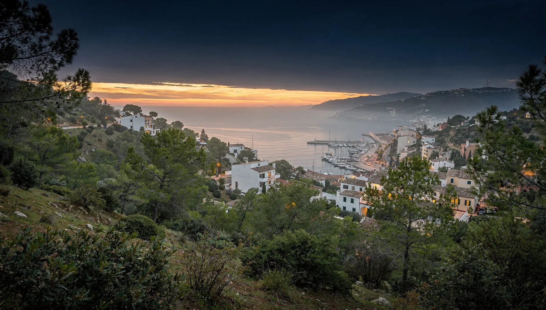 Colline boisée surplombant un port méditerranéen au crépuscule, évoquant l'ancrage régional de La Mutuelle Verte à Toulon