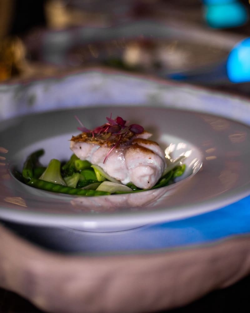 Fusion at Imersion, Tel Aviv