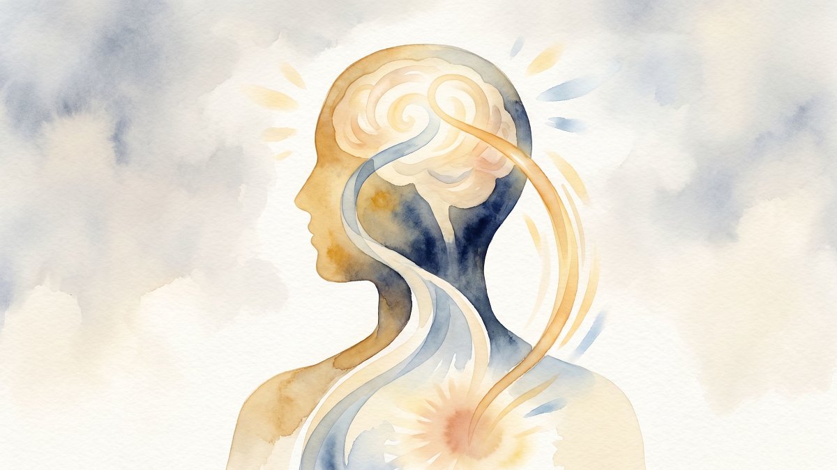 Schéma aquarellé des deux voies cérébrales du traitement émotionnel reliant amygdale et cortex préfrontal