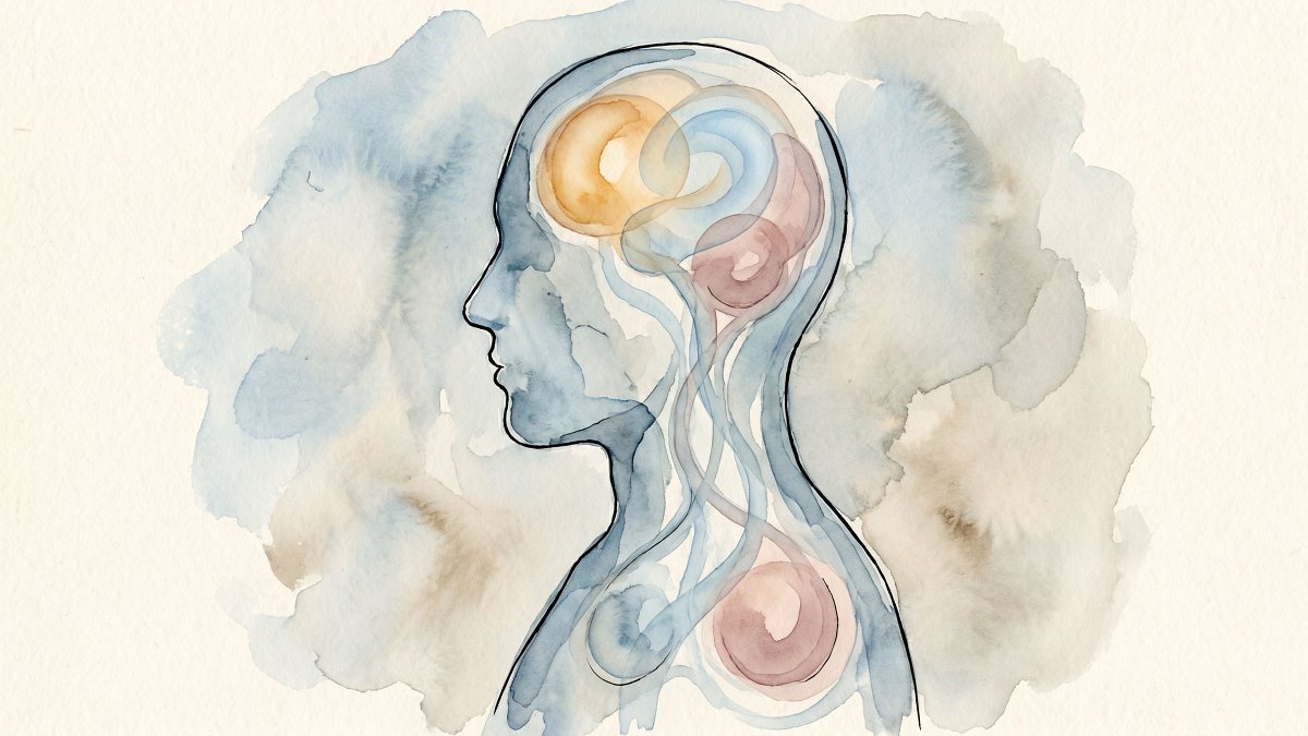 Aquarelle d'une silhouette humaine aux régions du cerveau émotionnel illuminées