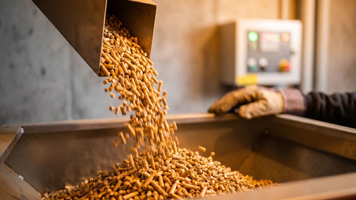 Granulés de bois s'écoulant dans la trémie d'une chaudière biomasse domestique