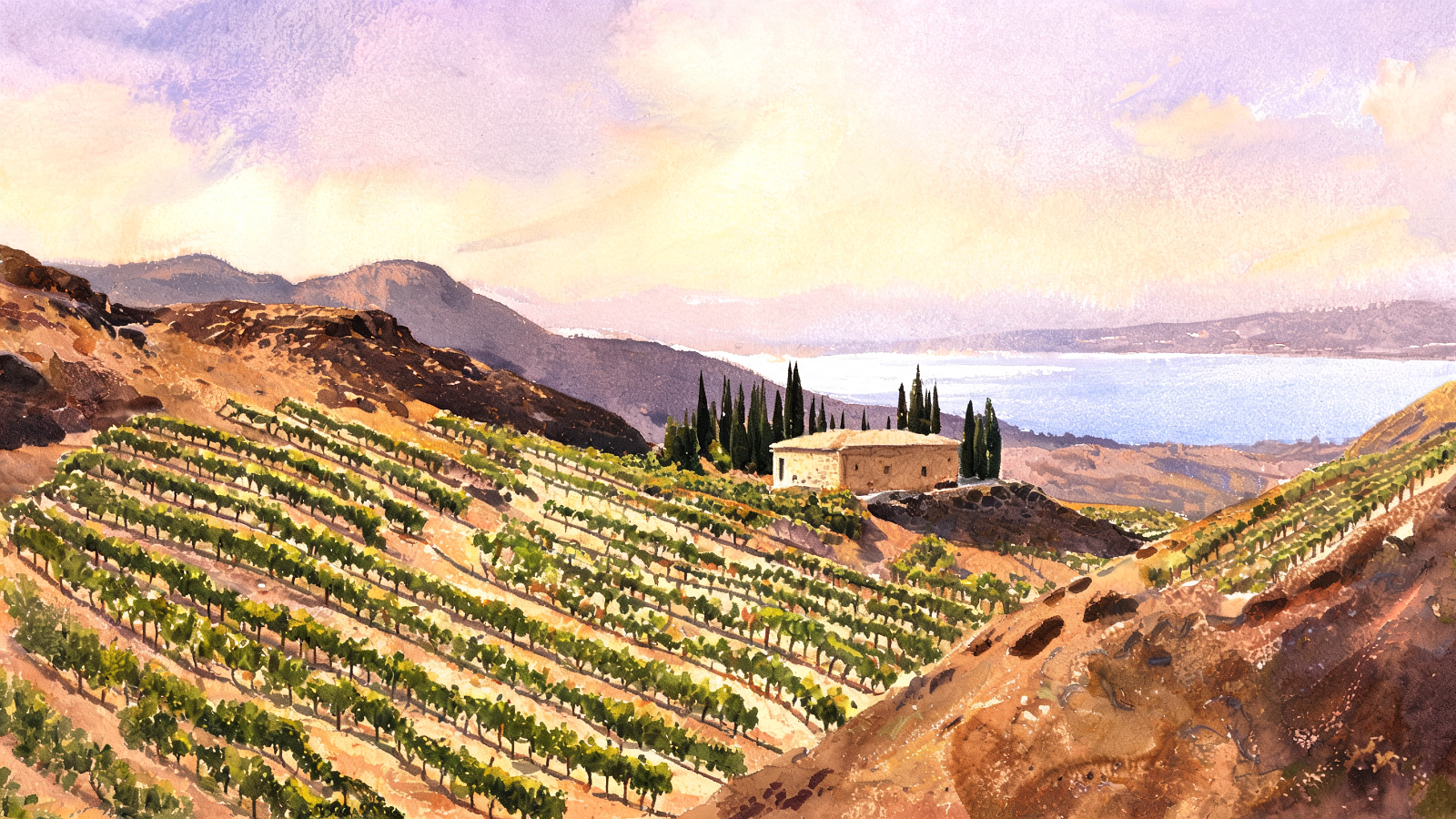 Vineyards on the volcanic slopes of the Golan Heights descending toward the Sea of Galilee, with a stone tasting room among cypress trees