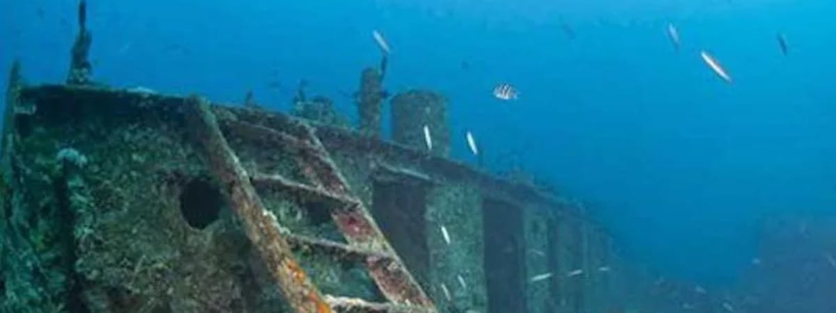 15 years of treasure hunting