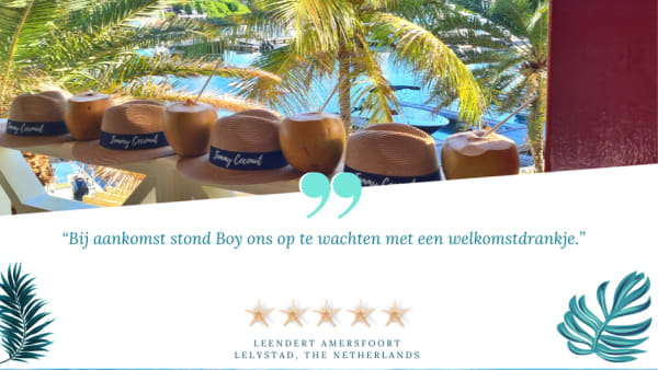 5-Star Guest Review
