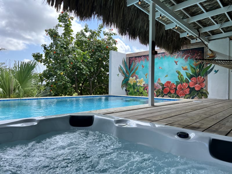 Beach BBQ with Tommy Coconut Family