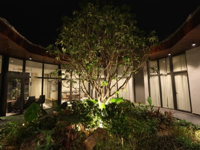 Midori By Tivoli - Rooms and amenities 1