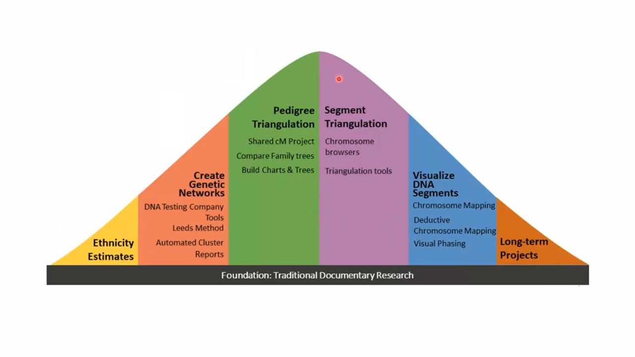 DNA Meets the Paper Trail: Pedigree Triangulation Strategies for Early 19th-Century Research