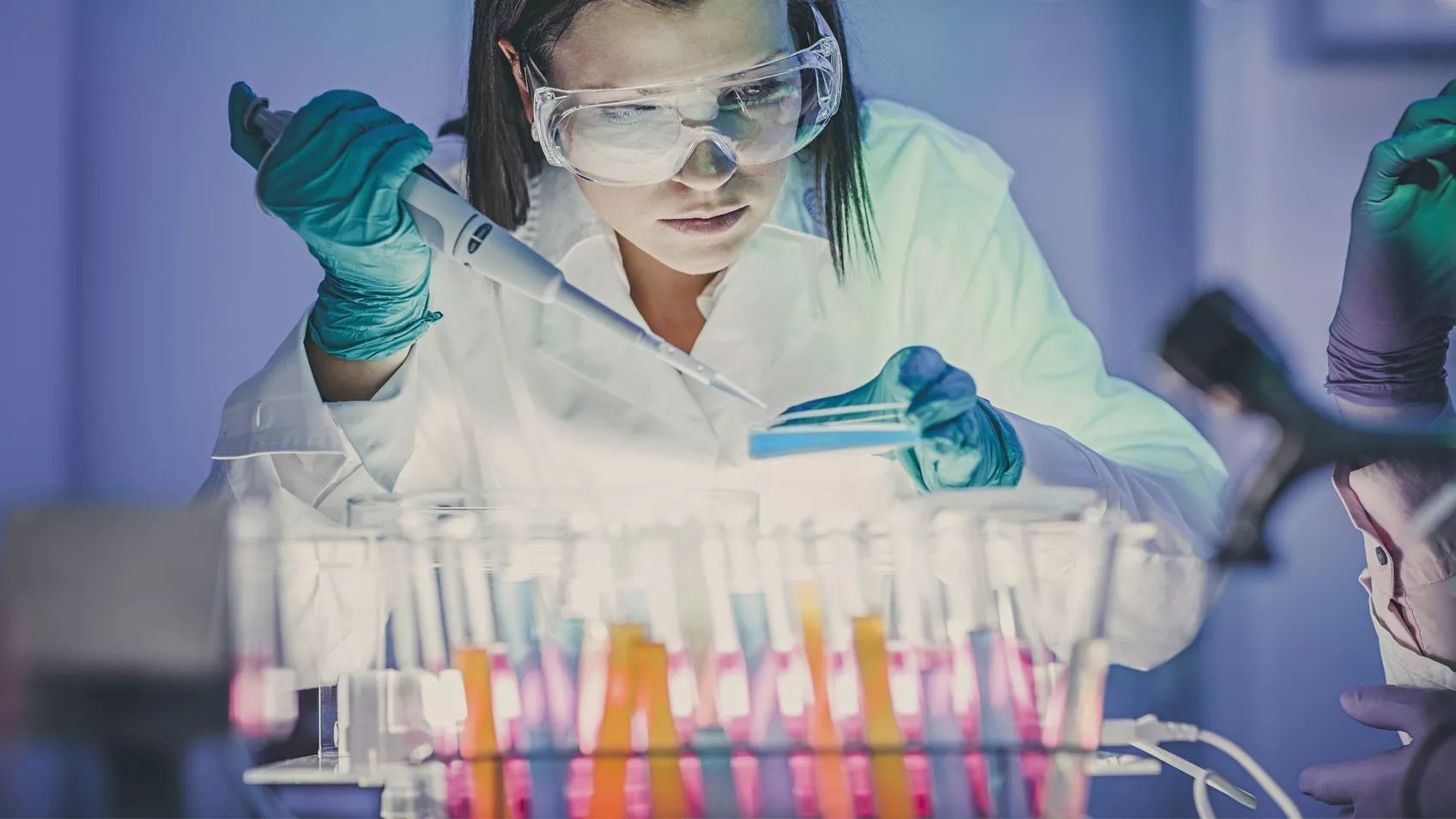 Family Matching Update - how to get results