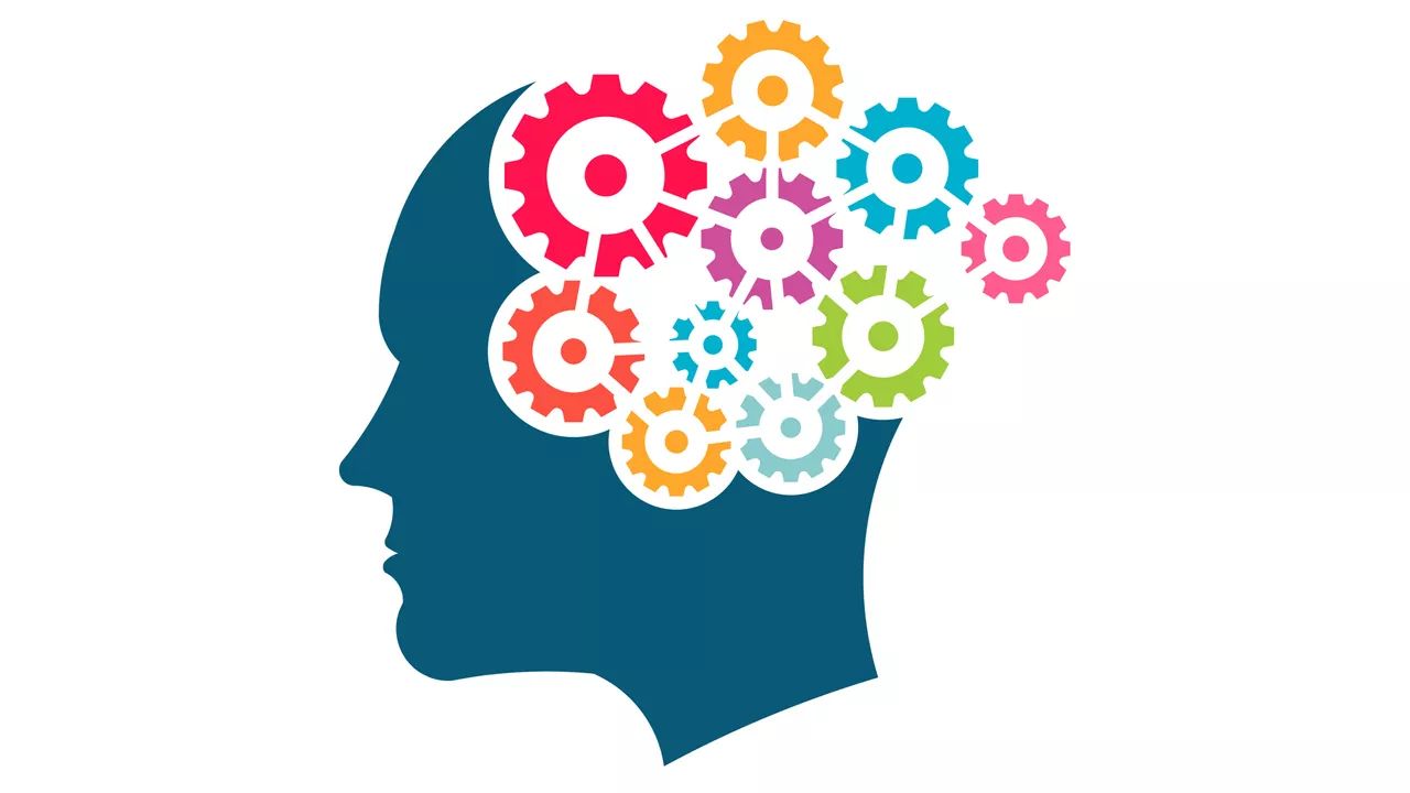 Turning Raw Information into Evidence: Tips for Drawing and Explaining Conclusions