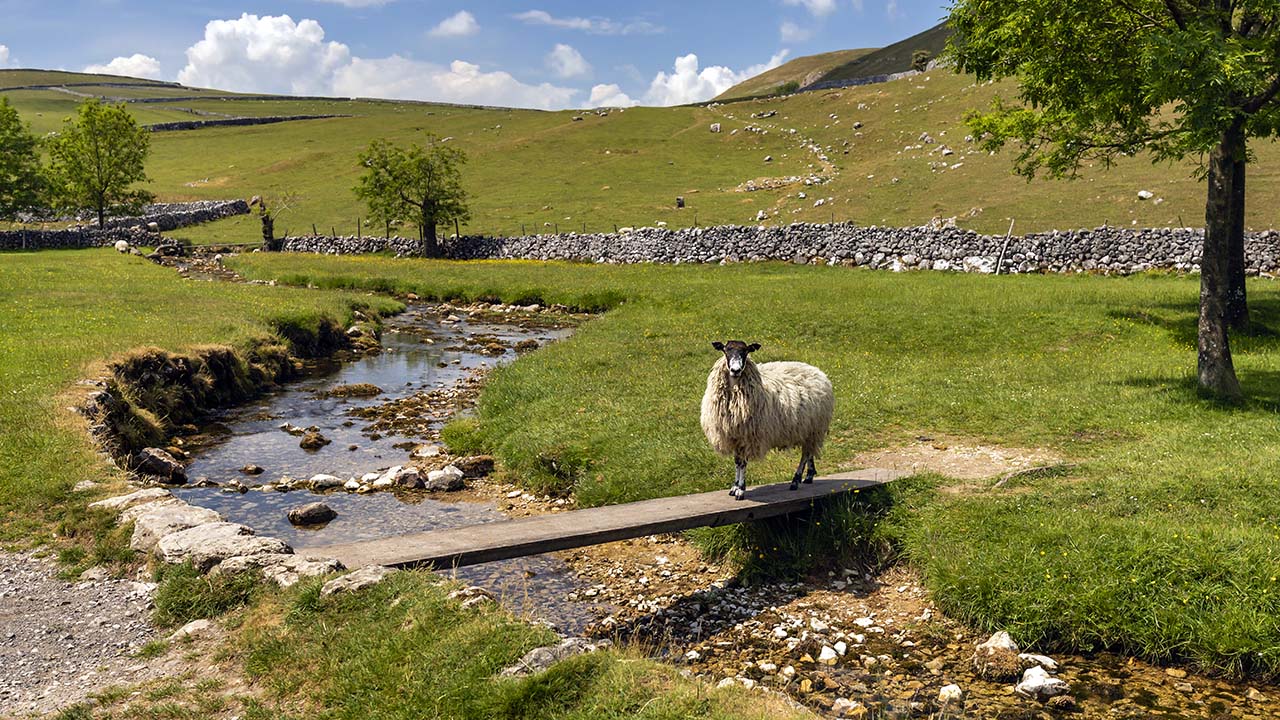 Researching in Yorkshire