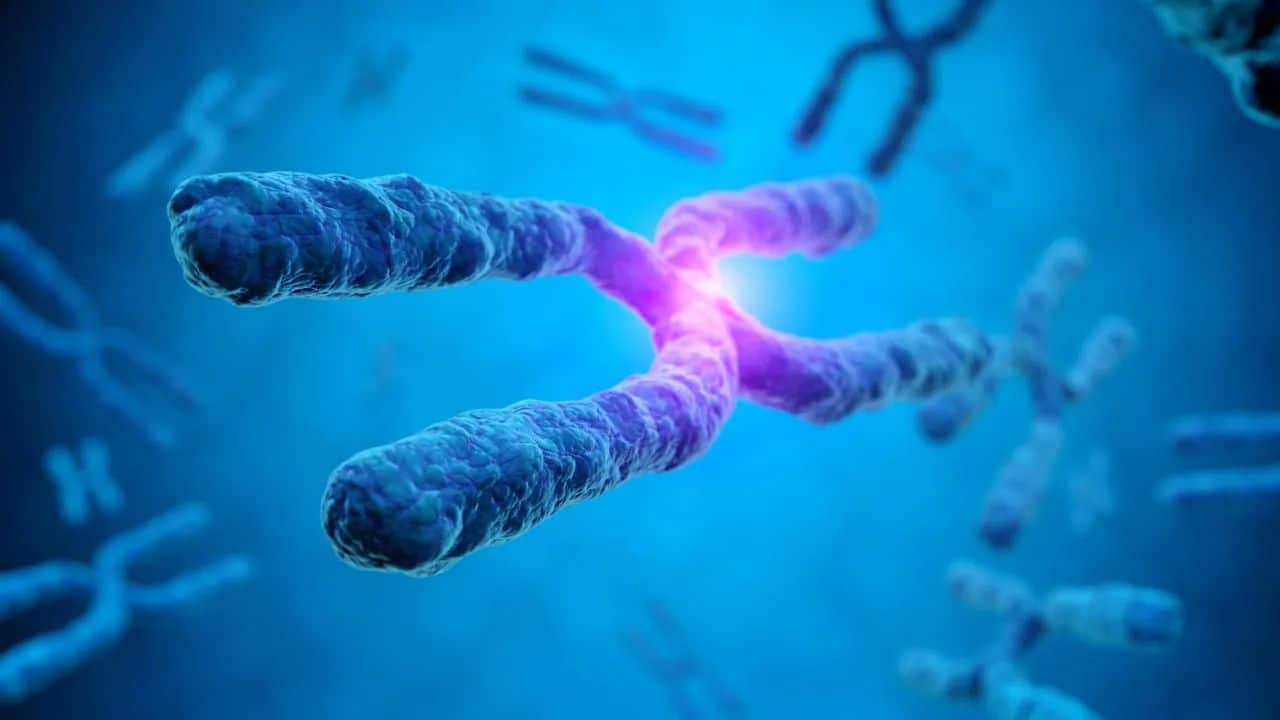 Case Study: Finding My 3rd Great Grandfather: How X-DNA Led the Way