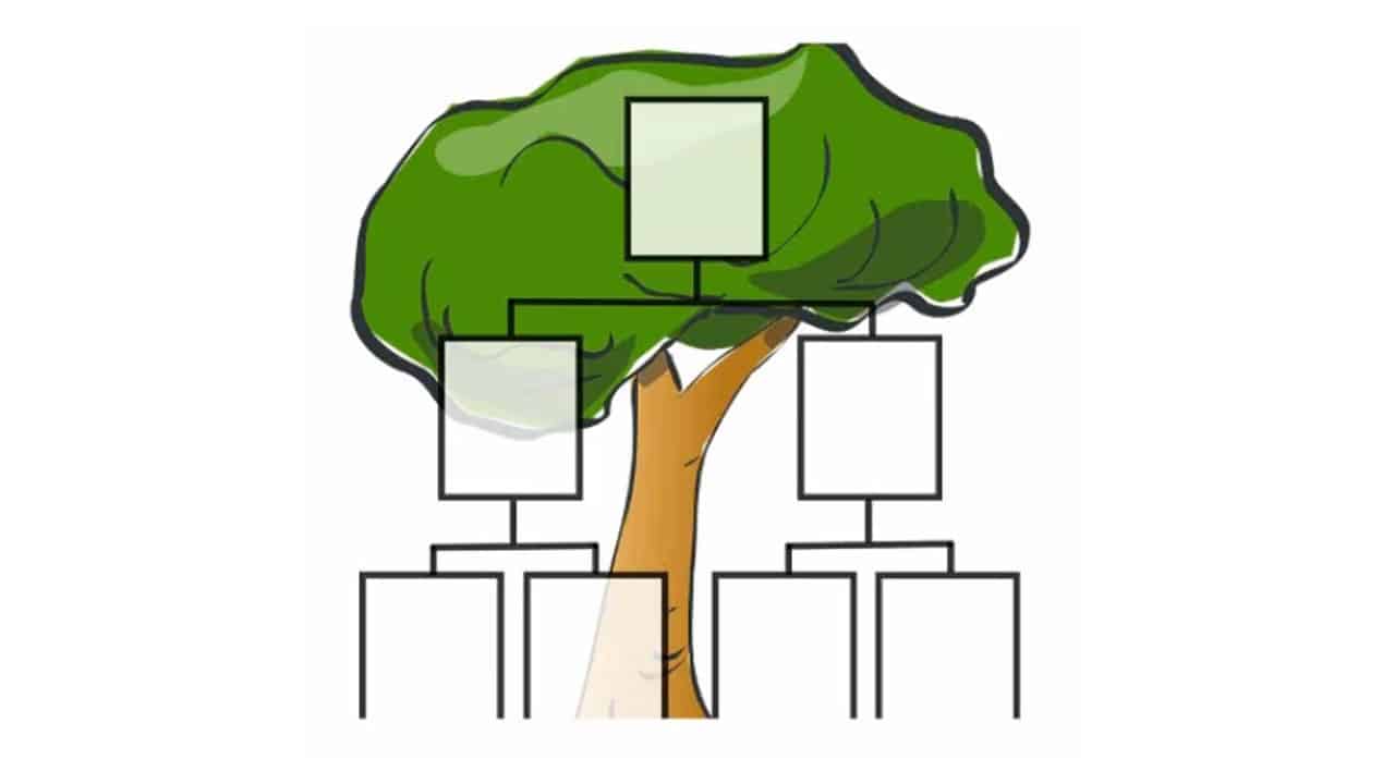 Beginning Your Genealogy Journey: 8 Steps to Getting Started