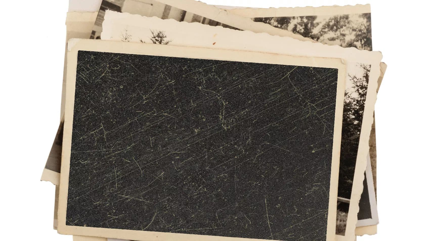 Getting Started with Heritage Collector Software Part 3 (a Legacy add-on tool for your photos)