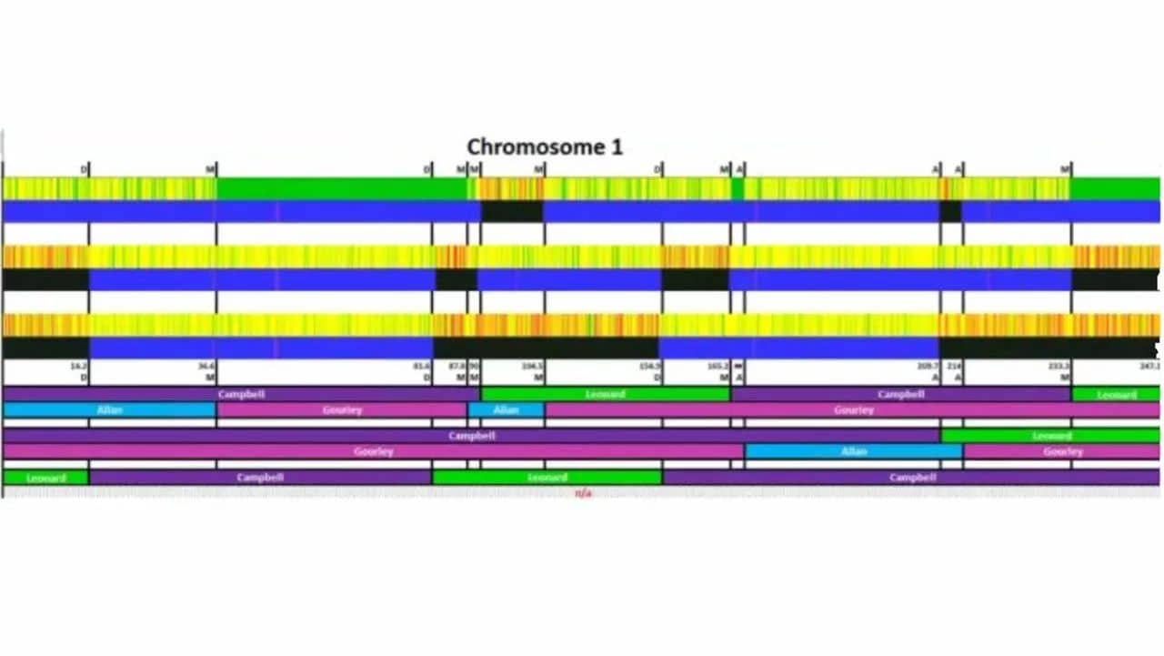 Inferred Mapping Explained