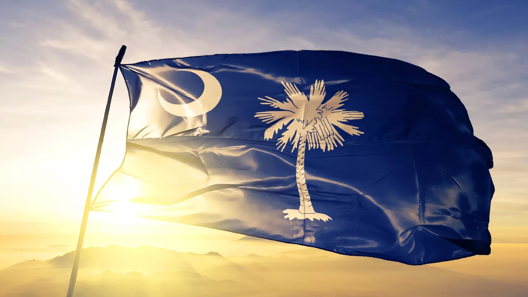 Palmetto Pride - South Carolina for Genealogists