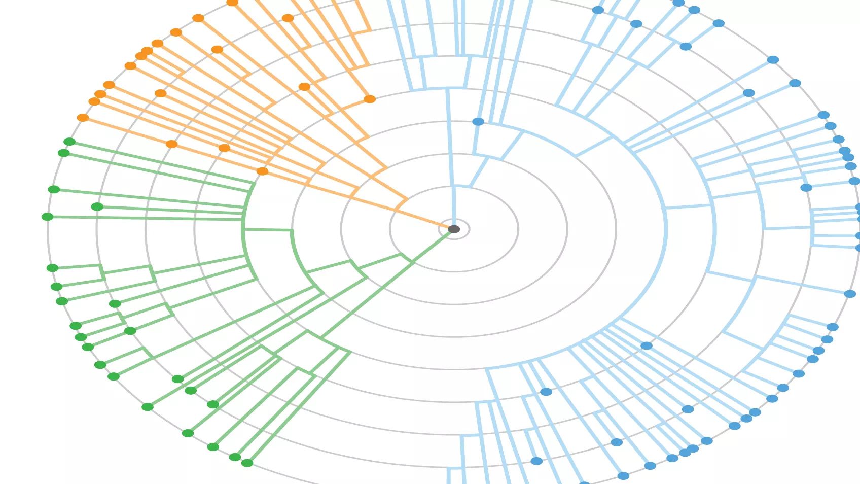 Working with Different Family Tree Views on MyHeritage