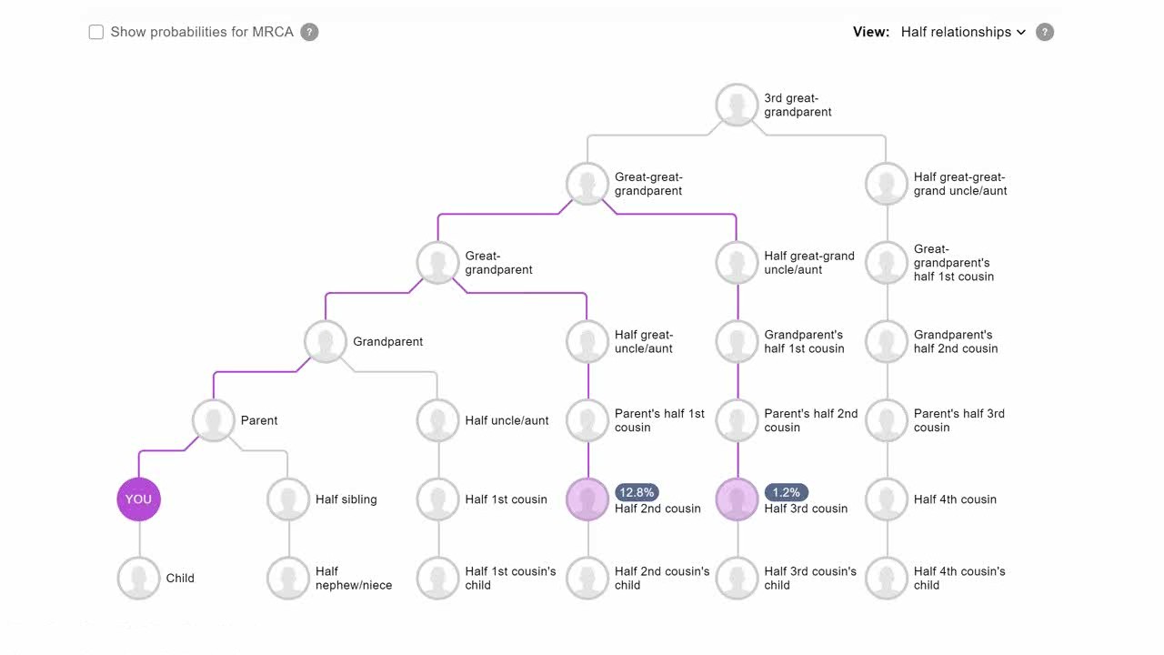 5 Questions to Answer About Your DNA Matches