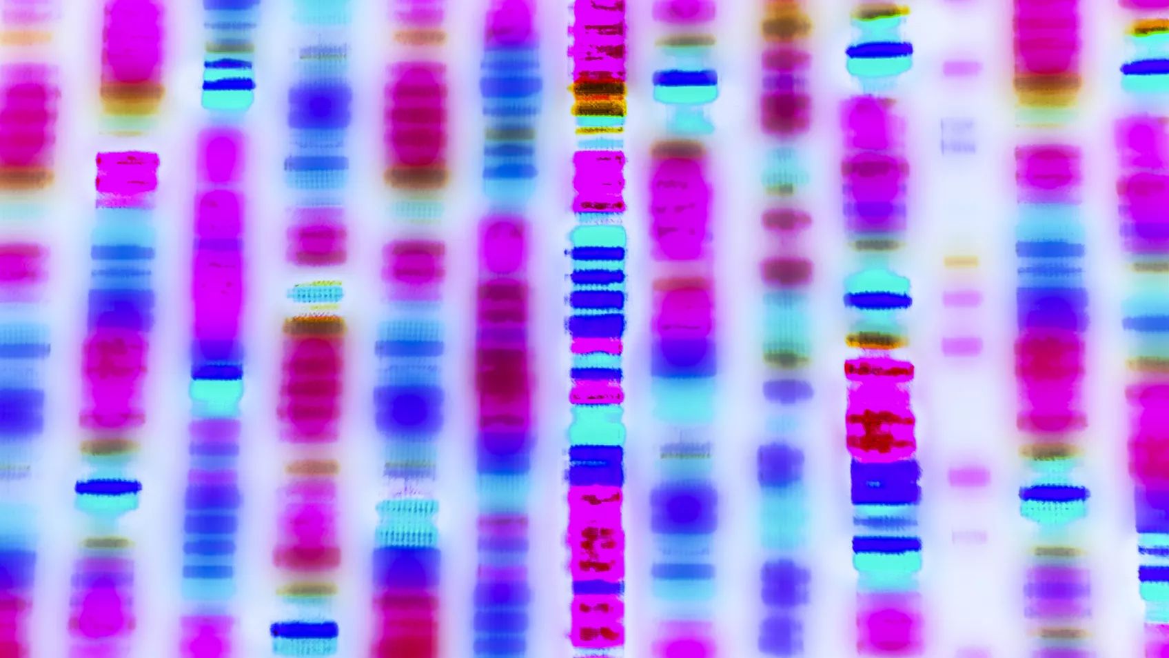 A Guide to Third Party Tools For DNA Testing