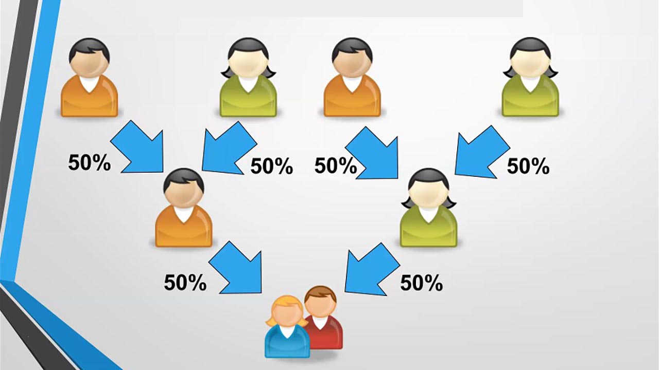 Before You Test: DNA Basics You Need to Know