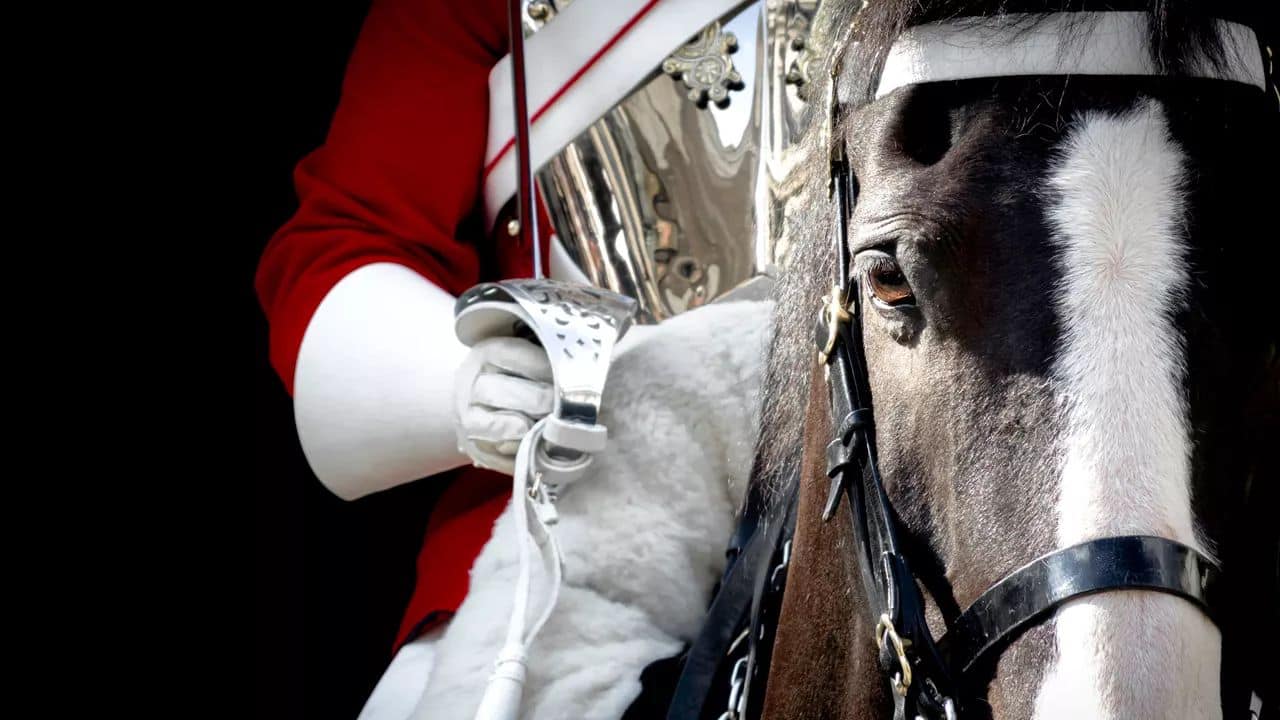 Researching a Loyalist Soldier