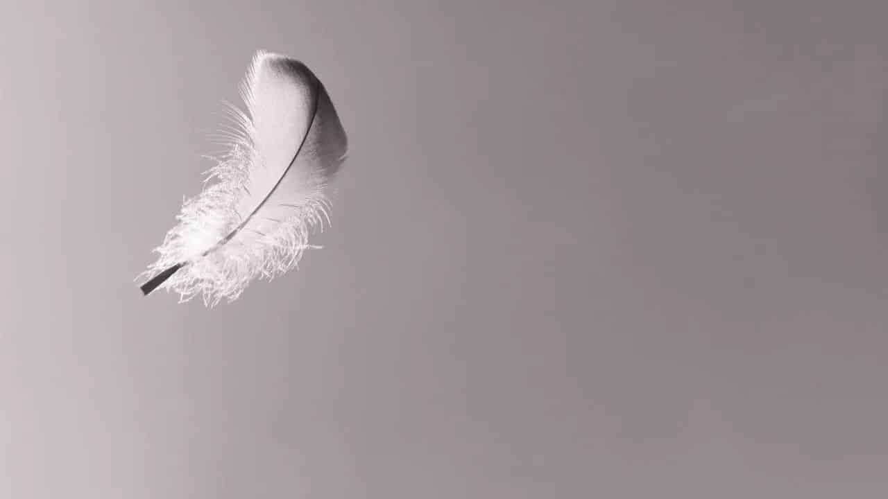 Five Wives & A Feather Bed: Using Indirect and Negative Evidence to Resolve Conflicting Claims