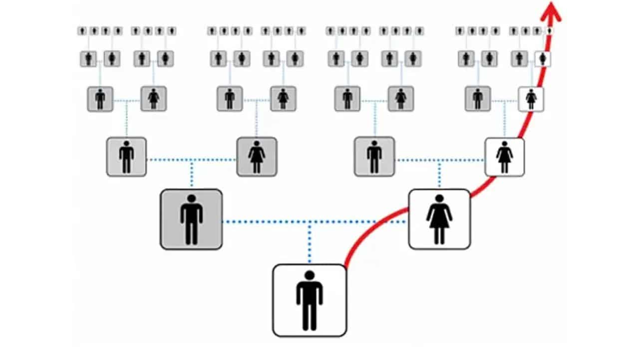 Using Mitochondrial DNA Testing for Genealogical Problem Solving