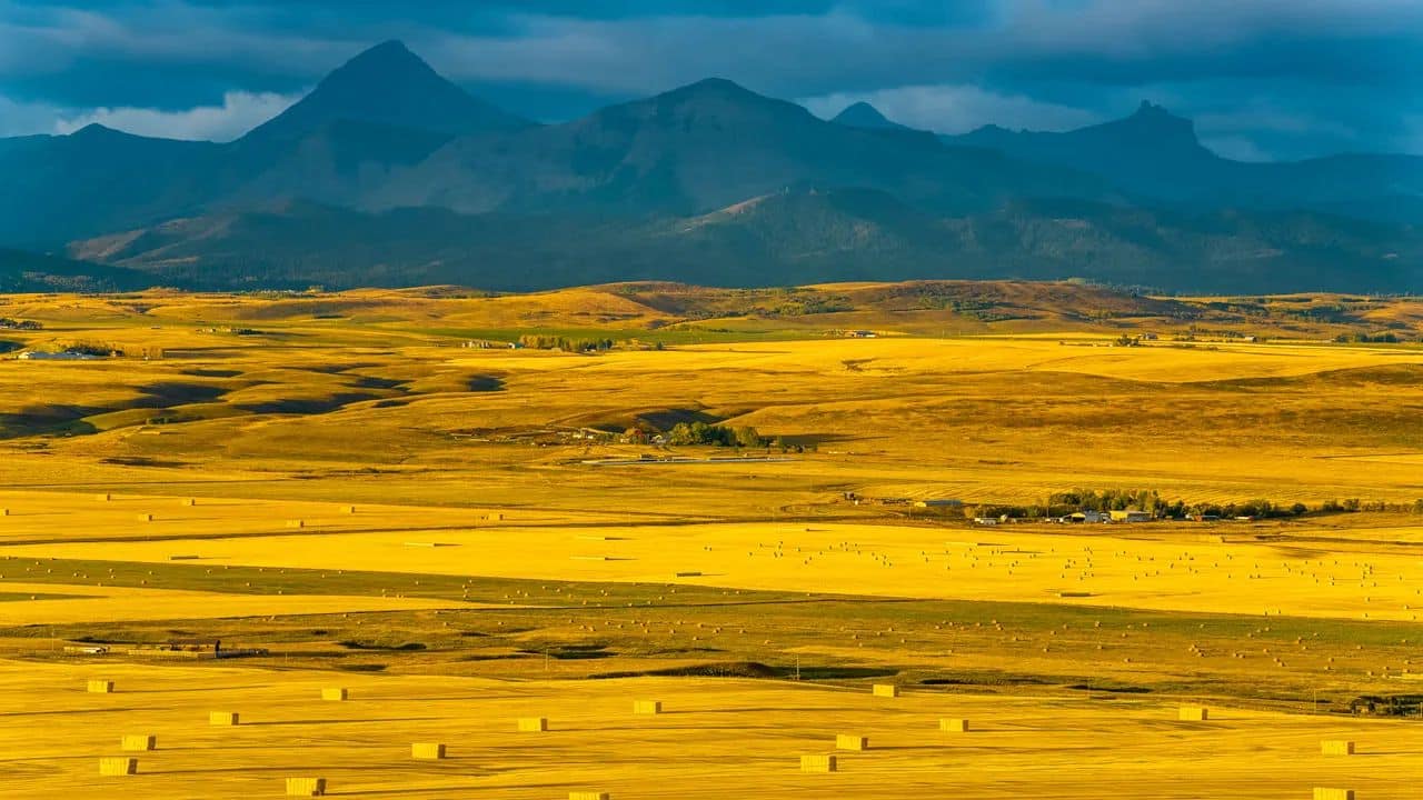 Finding Your Ancestors in Canadian Land Records