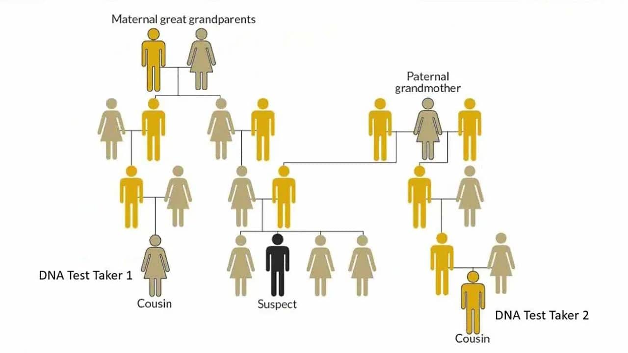 An Introduction to Investigative Genetic Genealogy