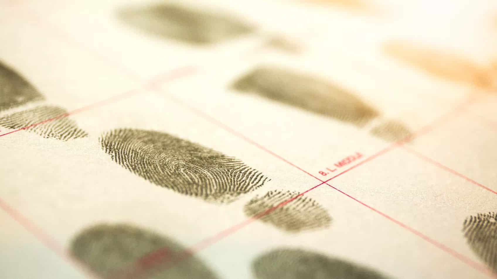Genealogical Fingerprints: Merging and Separating Identities in Family History Research