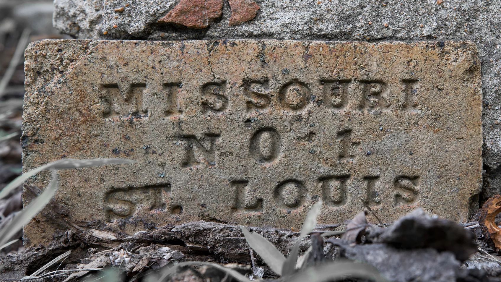 Where did you come from, Missouri Settlers?